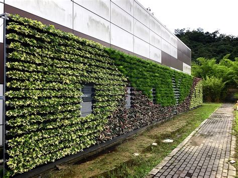 外牆長植物風水